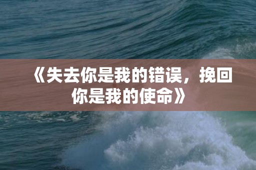 《失去你是我的错误，挽回你是我的使命》