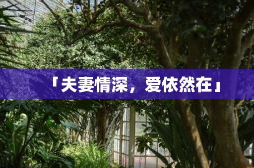 「夫妻情深，爱依然在」