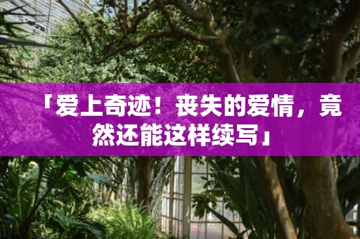 「爱上奇迹！丧失的爱情，竟然还能这样续写」