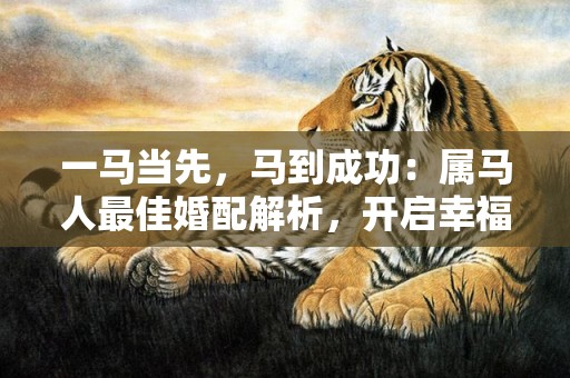 一马当先，马到成功：属马人最佳婚配解析，开启幸福人生之门