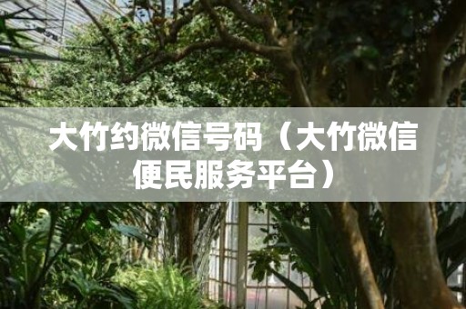 大竹约微信号码（大竹微信便民服务平台）