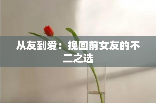从友到爱：挽回前女友的不二之选