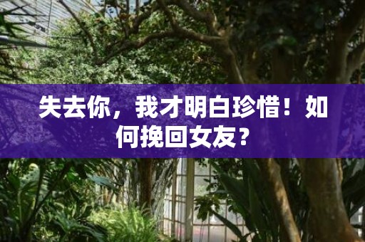 失去你，我才明白珍惜！如何挽回女友？