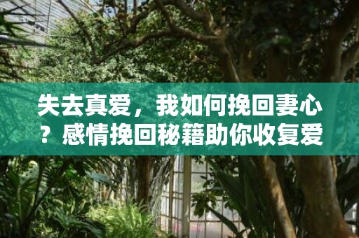 失去真爱，我如何挽回妻心？感情挽回秘籍助你收复爱情！