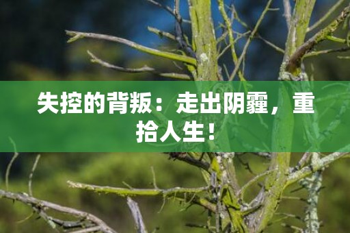 失控的背叛：走出阴霾，重拾人生！