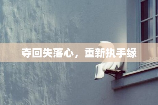 夺回失落心，重新执手缘