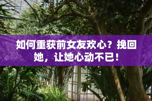 如何重获前女友欢心？挽回她，让她心动不已！