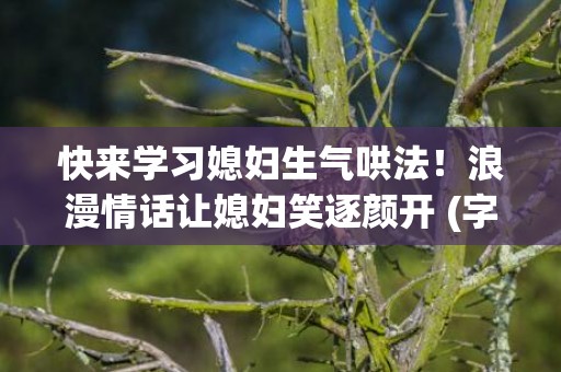 快来学习媳妇生气哄法！浪漫情话让媳妇笑逐颜开 (字符数 46)
