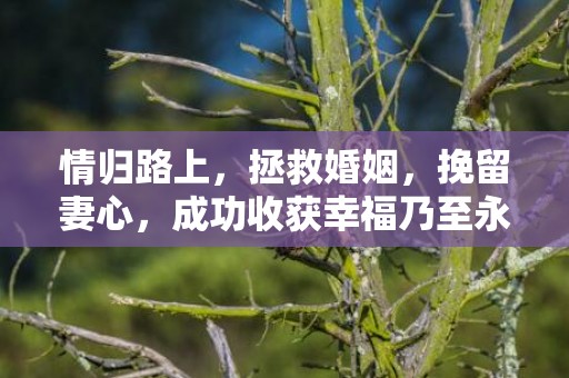 情归路上，拯救婚姻，挽留妻心，成功收获幸福乃至永恒
