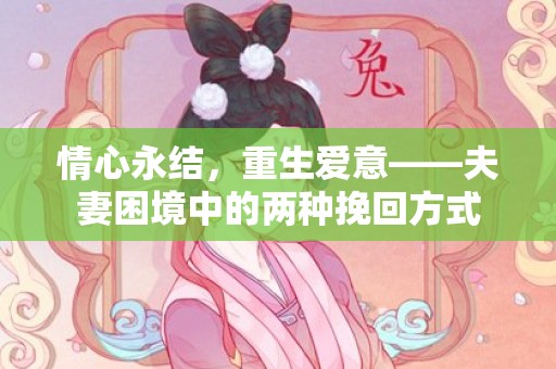 情心永结，重生爱意——夫妻困境中的两种挽回方式