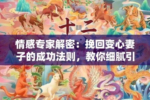 情感专家解密：挽回变心妻子的成功法则，教你细腻引领她回归幸福