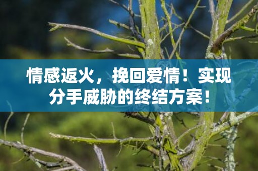 情感返火，挽回爱情！实现分手威胁的终结方案！
