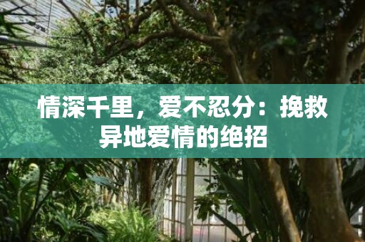 情深千里，爱不忍分：挽救异地爱情的绝招