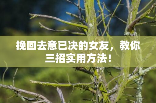 挽回去意已决的女友，教你三招实用方法！