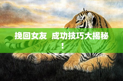 挽回女友  成功技巧大揭秘！