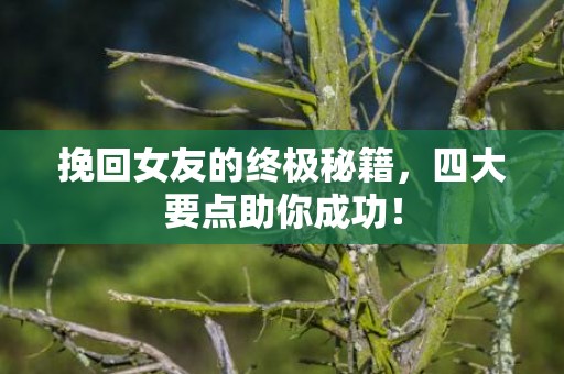 挽回女友的终极秘籍，四大要点助你成功！