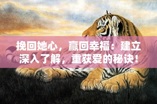 挽回她心，赢回幸福：建立深入了解，重获爱的秘诀！