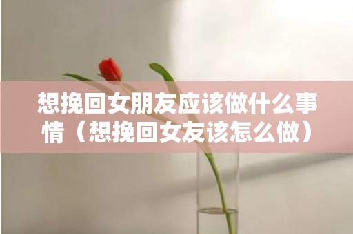 想挽回女朋友应该做什么事情（想挽回女友该怎么做）
