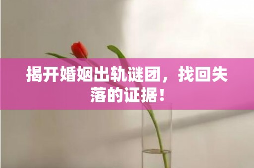 揭开婚姻出轨谜团，找回失落的证据！