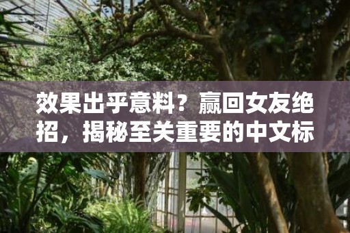 效果出乎意料？赢回女友绝招，揭秘至关重要的中文标题，字数不超过70个字符