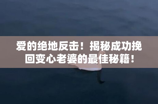 爱的绝地反击！揭秘成功挽回变心老婆的最佳秘籍！