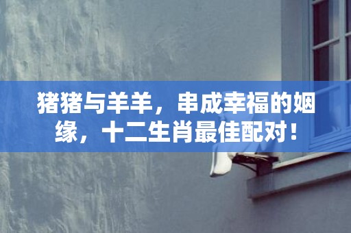 猪猪与羊羊，串成幸福的姻缘，十二生肖最佳配对！