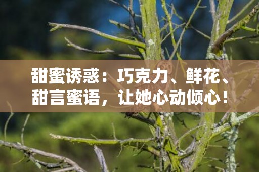甜蜜诱惑：巧克力、鲜花、甜言蜜语，让她心动倾心！