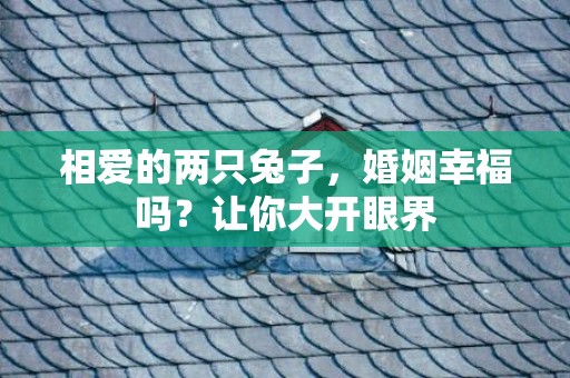 相爱的两只兔子，婚姻幸福吗？让你大开眼界