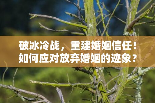 破冰冷战，重建婚姻信任！如何应对放弃婚姻的迹象？