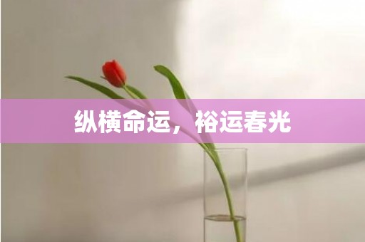 纵横命运，裕运春光