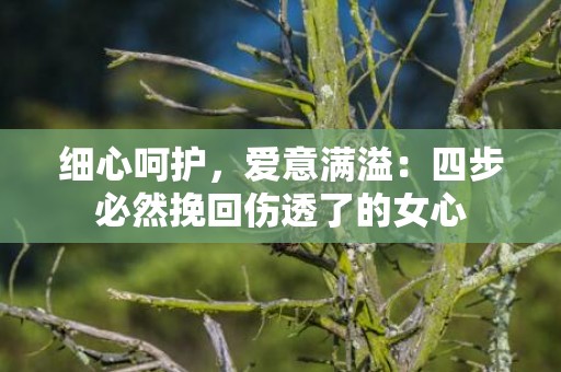 细心呵护，爱意满溢：四步必然挽回伤透了的女心