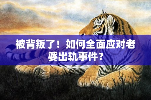 被背叛了！如何全面应对老婆出轨事件？