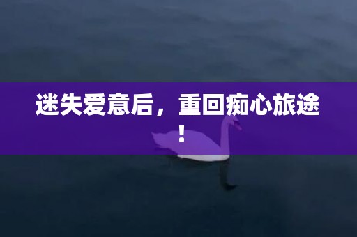 迷失爱意后，重回痴心旅途！