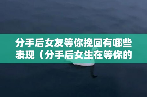 分手后女友等你挽回有哪些表现（分手后女生在等你的表现）