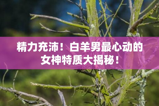 精力充沛！白羊男最心动的女神特质大揭秘！