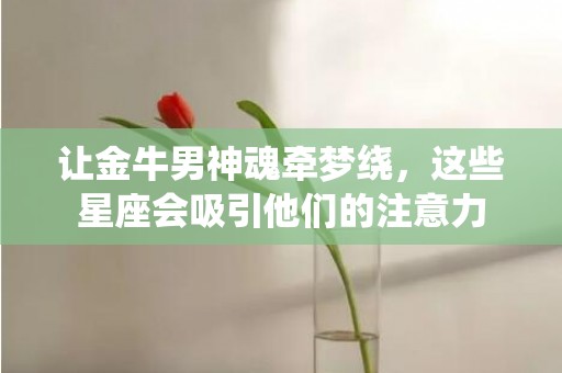 让金牛男神魂牵梦绕，这些星座会吸引他们的注意力