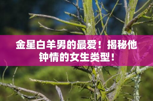 金星白羊男的最爱！揭秘他钟情的女生类型！