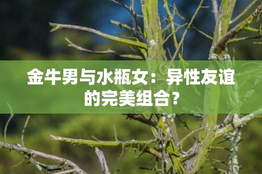 金牛男与水瓶女：异性友谊的完美组合？