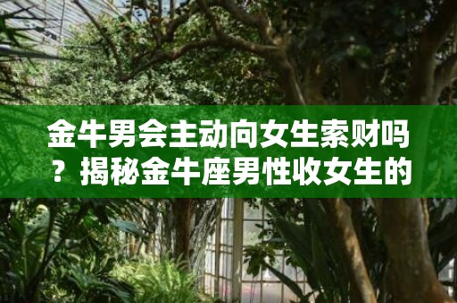 金牛男会主动向女生索财吗？揭秘金牛座男性收女生的钱行为