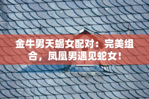 金牛男天蝎女配对：完美组合，凤凰男遇见蛇女！