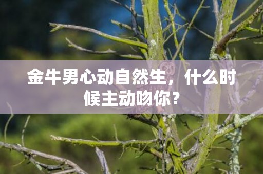 金牛男心动自然生，什么时候主动吻你？