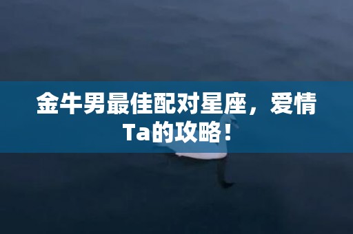 金牛男最佳配对星座，爱情Ta的攻略！