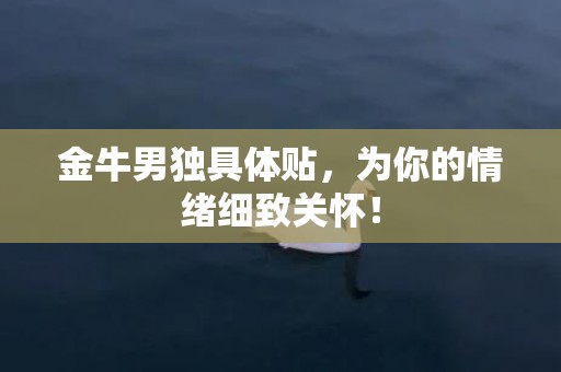 金牛男独具体贴，为你的情绪细致关怀！