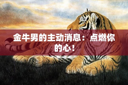 金牛男的主动消息：点燃你的心！