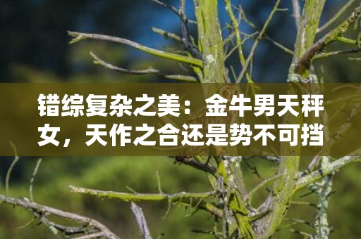 错综复杂之美：金牛男天秤女，天作之合还是势不可挡？