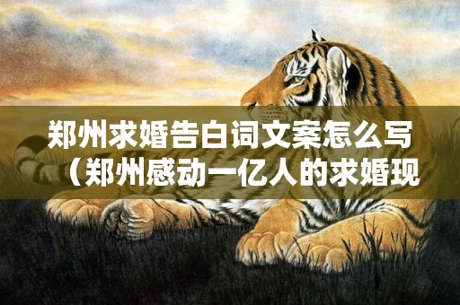 郑州求婚告白词文案怎么写（郑州感动一亿人的求婚现场）