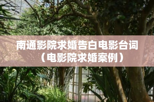 南通影院求婚告白电影台词（电影院求婚案例）