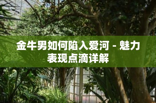 金牛男如何陷入爱河 - 魅力表现点滴详解