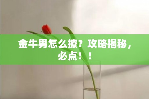 金牛男怎么撩？攻略揭秘，必点！！