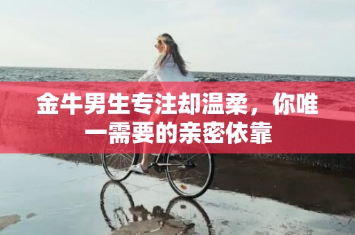 金牛男生专注却温柔，你唯一需要的亲密依靠